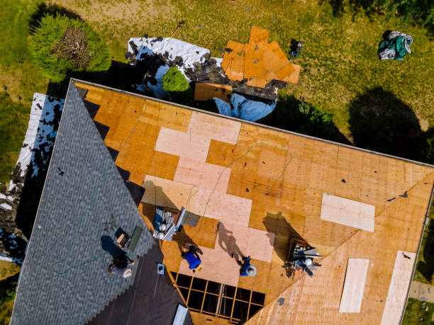 Best Roof Gutter Cleaning  in Bowman, ND