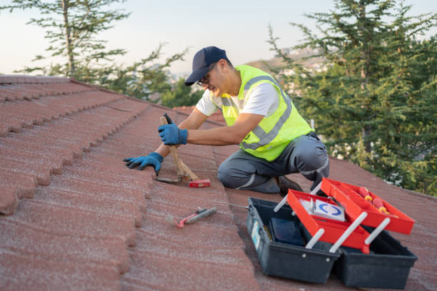 Sealant for Roof in Bowman, ND