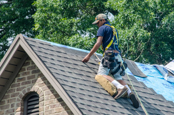 Best Shingle Roofing Installation  in Bowman, ND